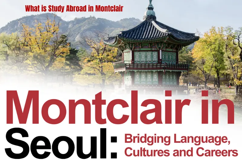 what is study abroad in montclair